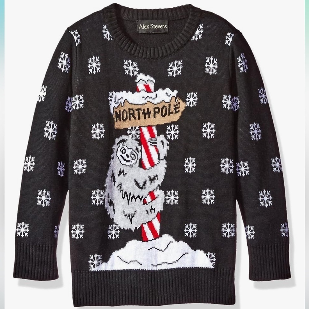 🖤 Alex Stevens Boys' Sloth Pole Sweater